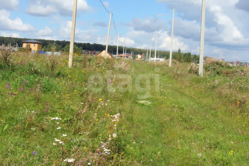 земля р-н Сосновский Кайгородово фото 4