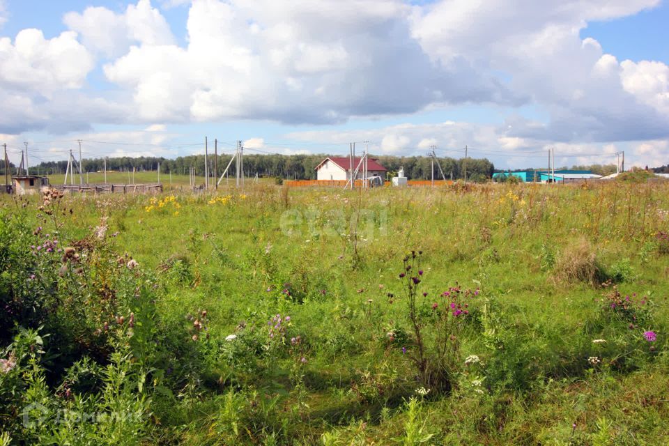 земля р-н Сосновский Кайгородово фото 3