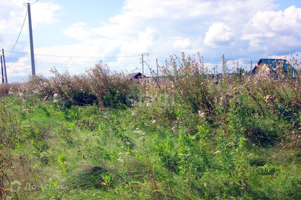 земля р-н Сосновский Кайгородово фото 2