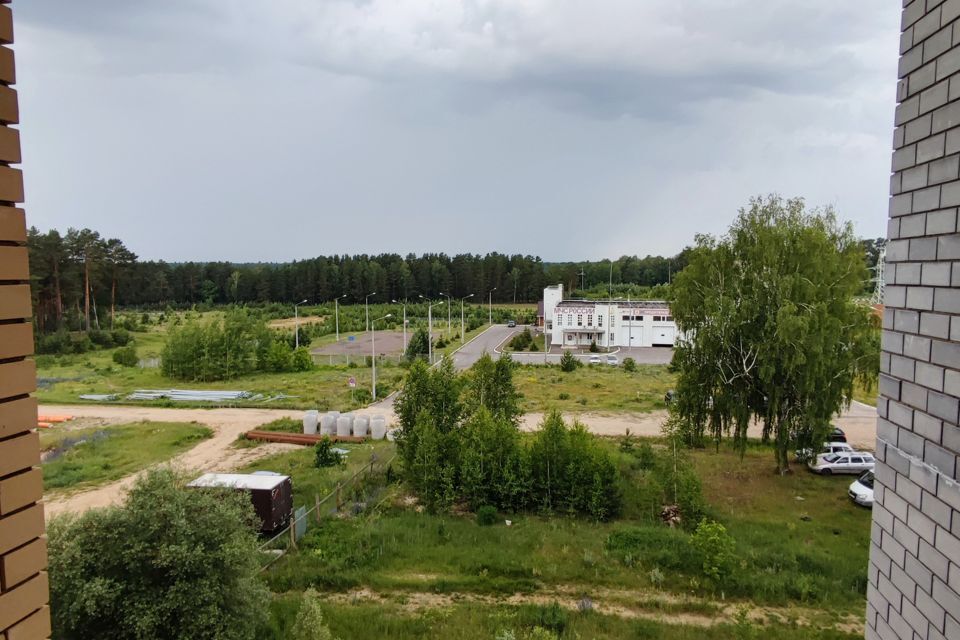 квартира г Саров ул Академика Негина 18 ЗАТО Саров городской округ фото 10