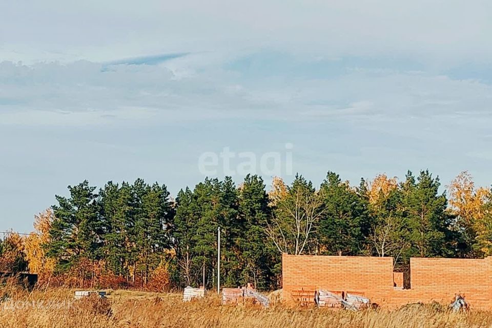 земля г Омск снт Полет-10 городской округ Омск, 15-я аллея фото 1