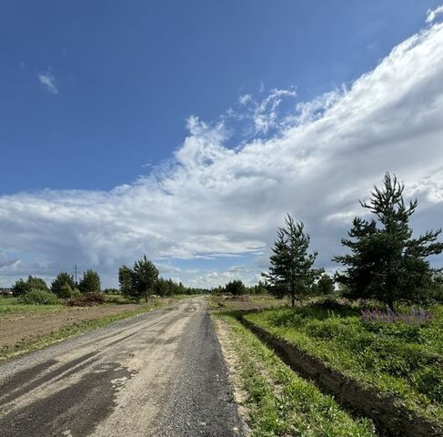 ул Зимняя Раменский городской округ фото