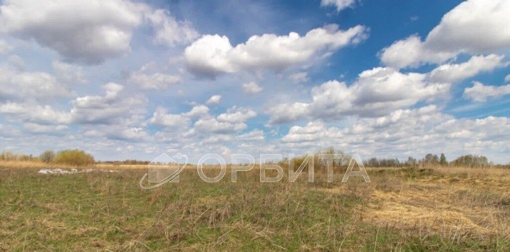 земля р-н Тюменский п Новотарманский ул Лесная фото 1