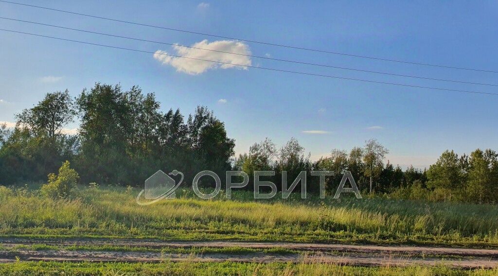 земля р-н Тюменский д Большие Акияры Червишевское сельское поселение фото 3