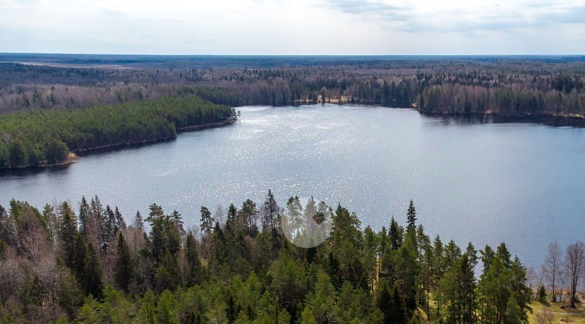 земля р-н Тосненский тер Костуя Любанское городское поселение фото 1