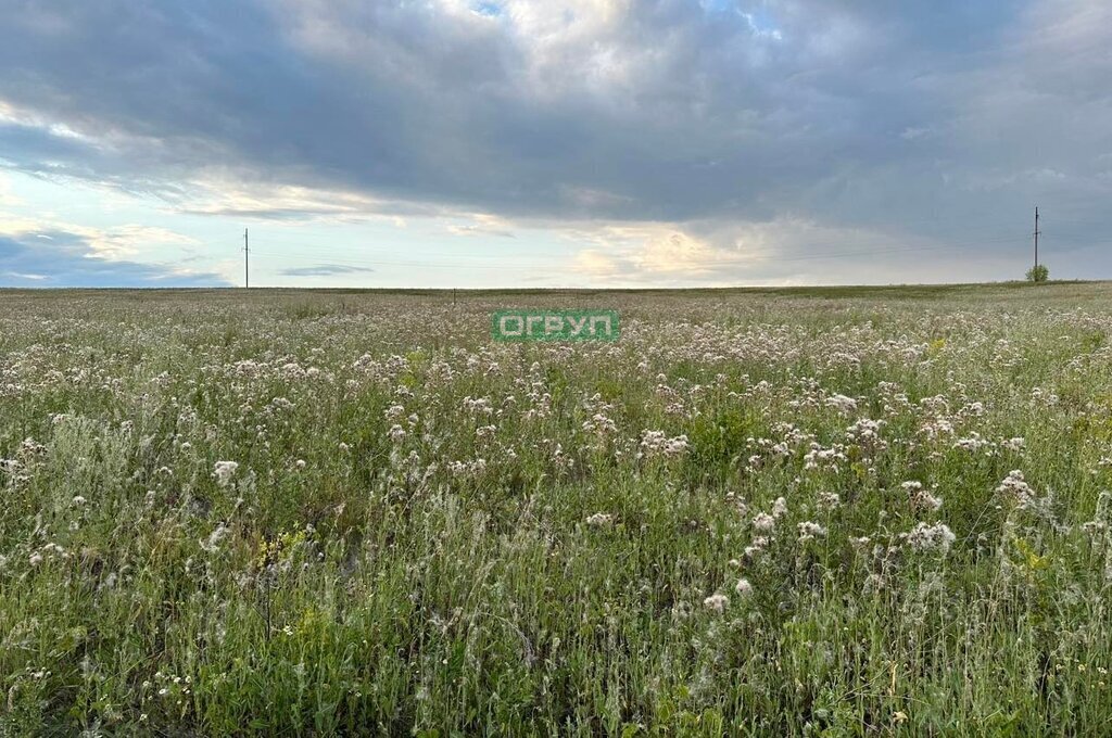 земля р-н Мокшанский с Рамзай сельсовет, Рамзайский фото 1