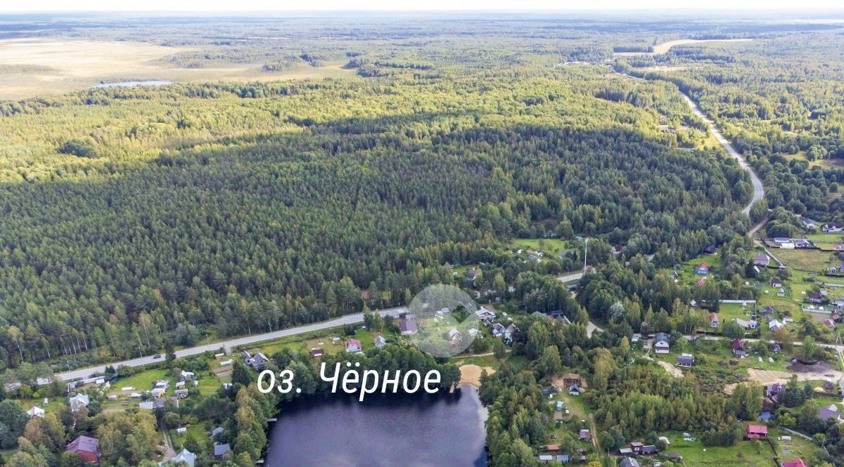 земля р-н Тосненский тер Костуя Любанское городское поселение фото 4