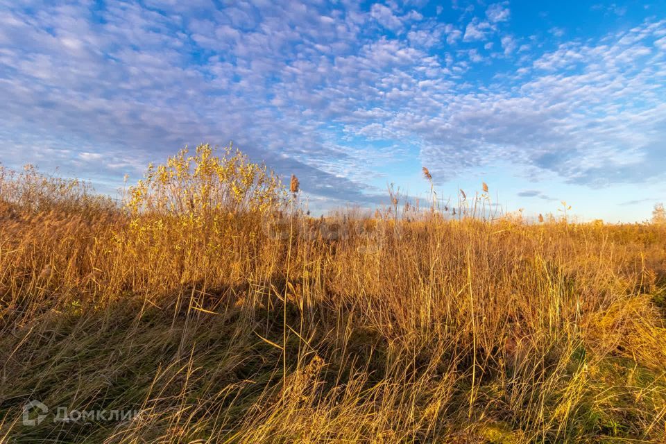 земля г Тюмень городской округ Тюмень, Калининский фото 5