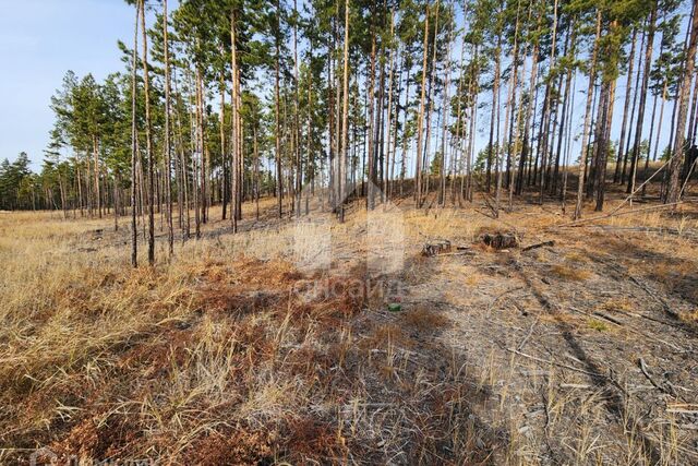 р-н Октябрьский Улан-Удэ городской округ, Октябрьский фото