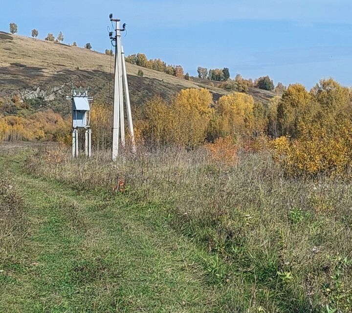 земля р-н Новокузнецкий Кемеровская область — Кузбасс, село Букино фото 5