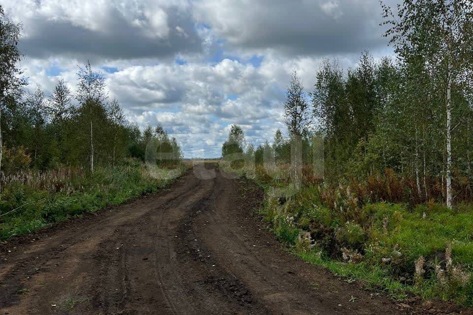 земля р-н Тюменский с Кулига микрорайон Кулига-2 фото 10