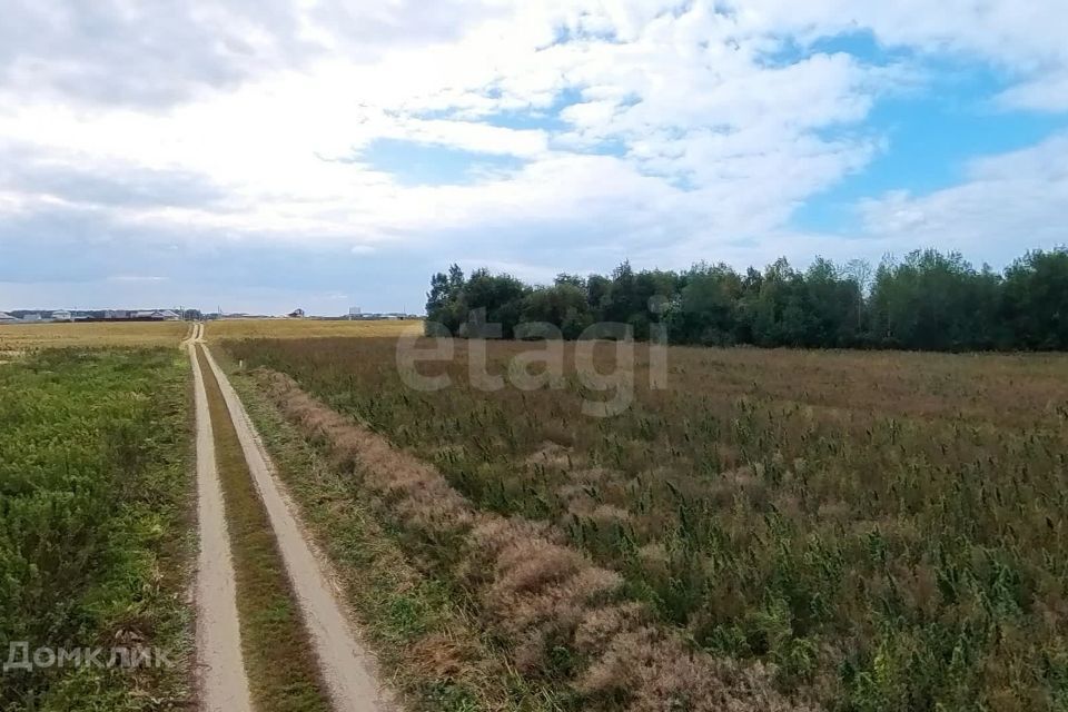 земля р-н Тюменский село Борки фото 9