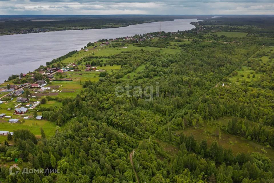 земля р-н Шекснинский фото 4