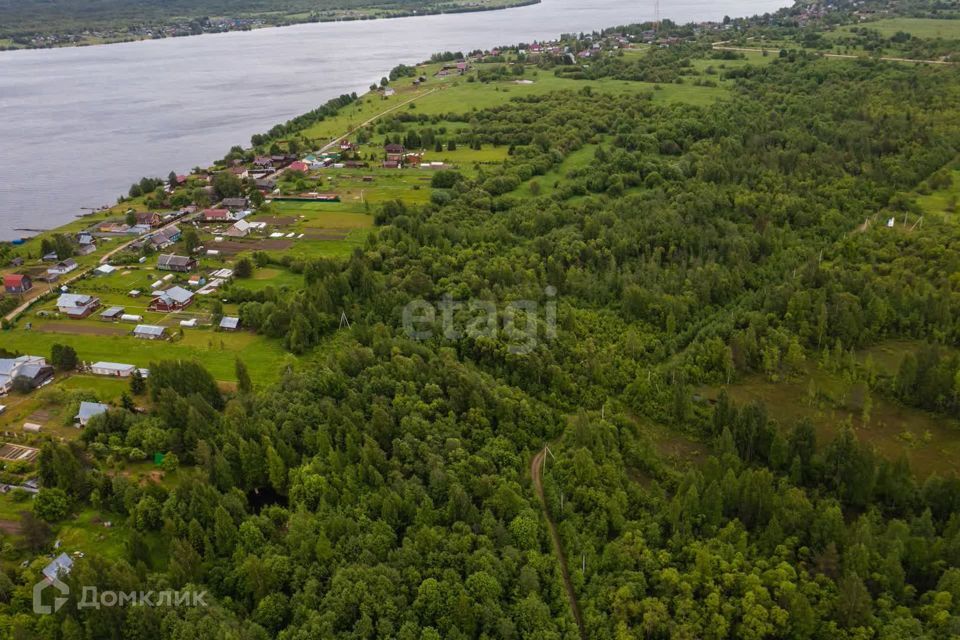 земля р-н Шекснинский фото 4