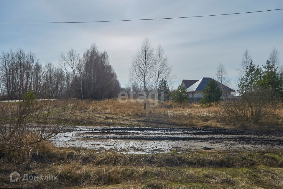 земля р-н Бессоновский село Сосновка фото 5