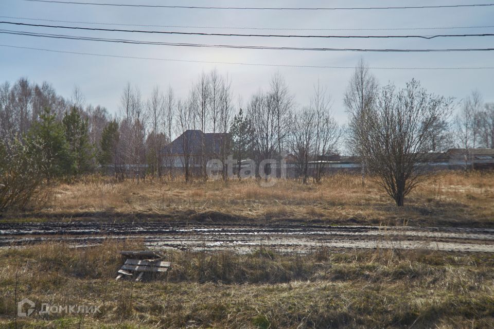 земля р-н Бессоновский село Сосновка фото 6