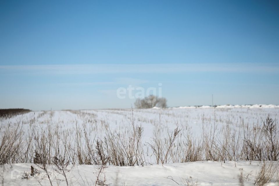 земля г Пенза снт терКамыши 200 городской округ Пенза фото 6