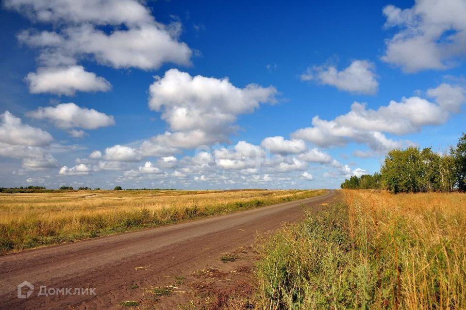 земля р-н Бессоновский село Бессоновка фото 5