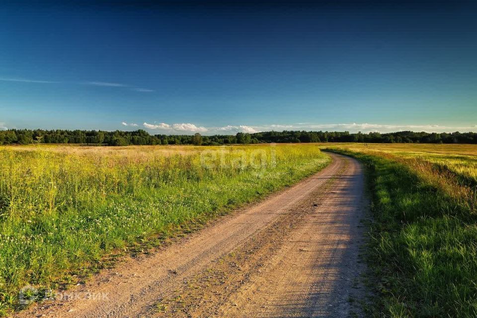 земля р-н Бессоновский село Бессоновка фото 6