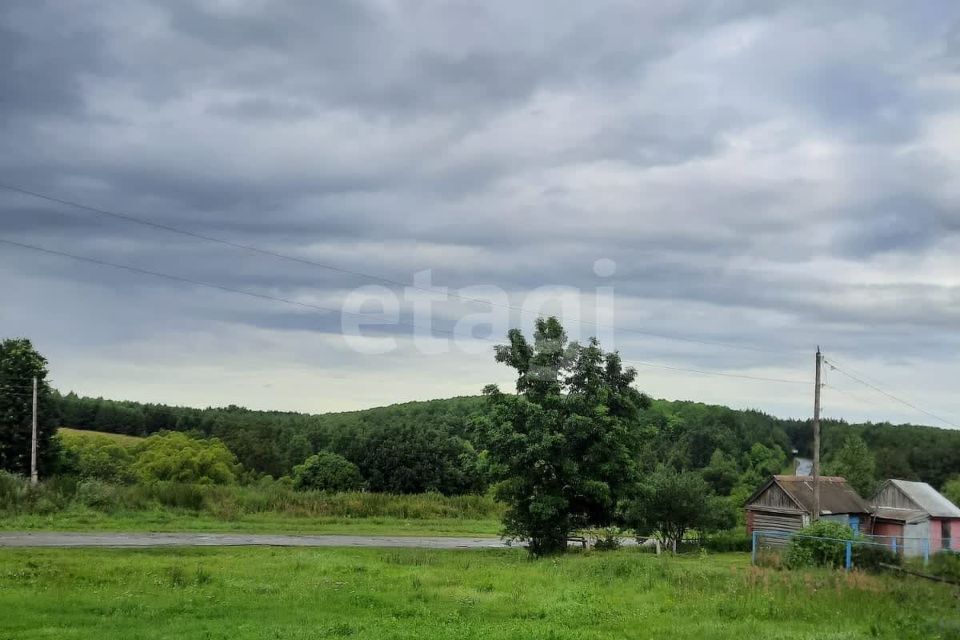 дом р-н Каменский с Блиновка ул Еланская 44 фото 6