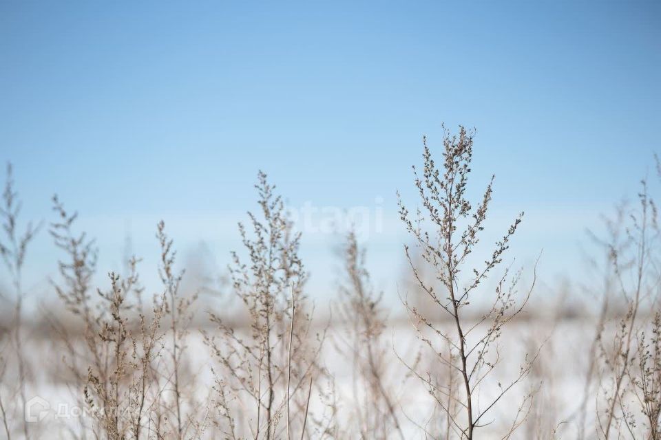 земля р-н Бессоновский Бессоновка фото 7