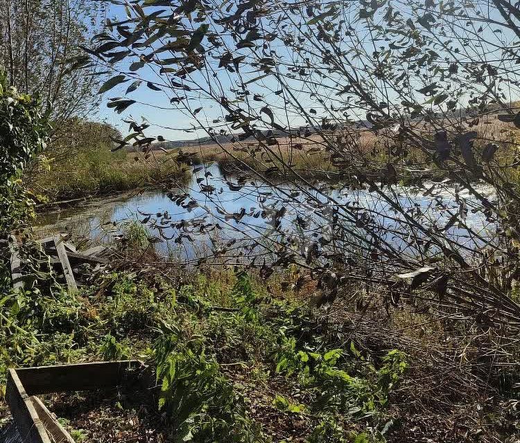 земля г Озерск Озерский городской округ, СНТ Зелёная горка фото 6