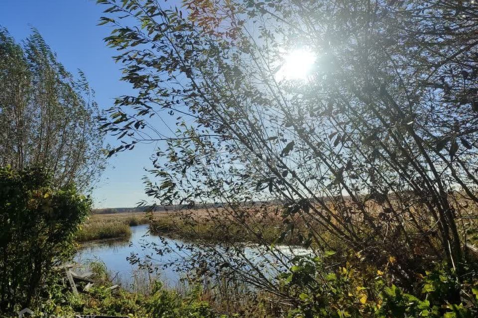 земля г Озерск Озерский городской округ, СНТ Зелёная горка фото 8