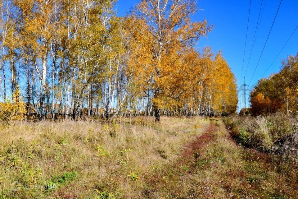 земля р-н Омский Ракитинкa фото 6