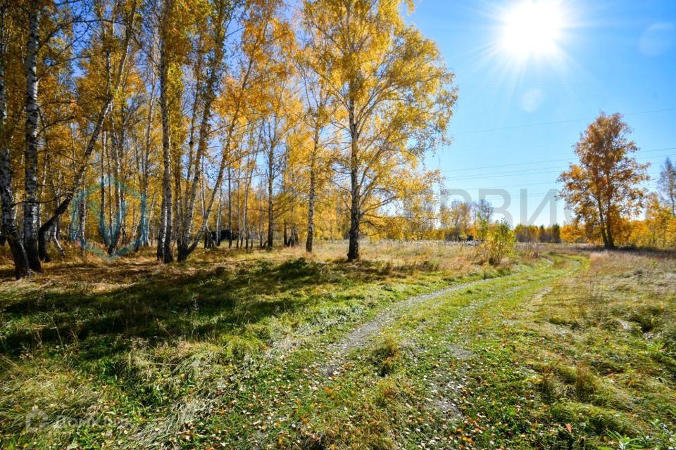 земля р-н Омский Ракитинкa фото 8