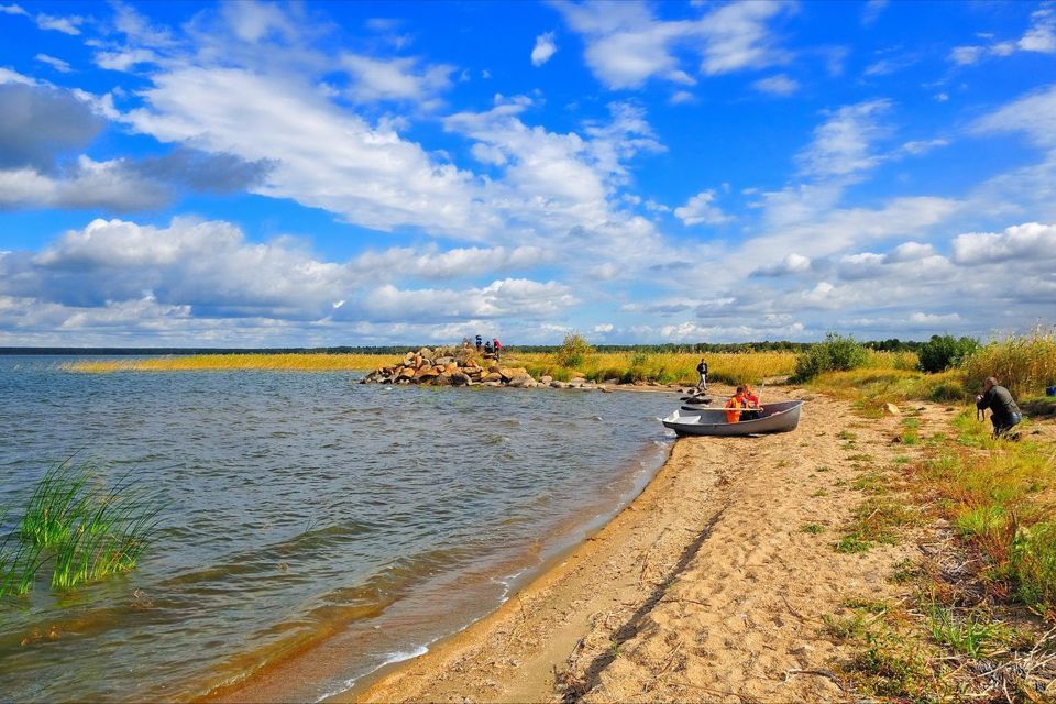 земля р-н Каслинский село Багаряк фото 6