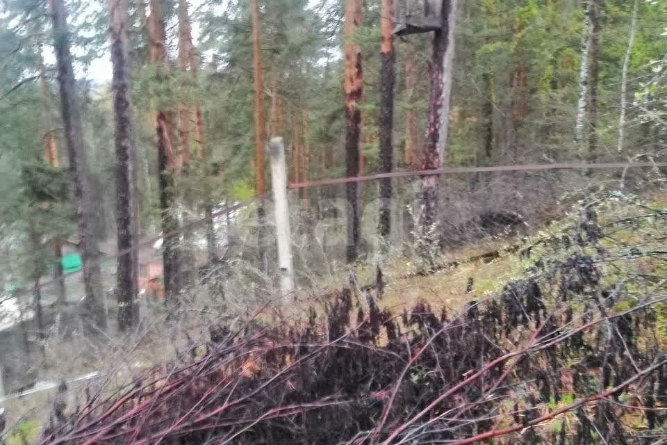 дом Миасский городской округ, КС Нагорный фото 9