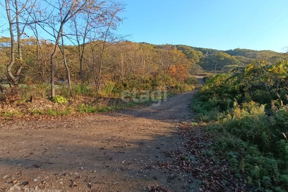 земля г Артем пл Ленина Артёмовский городской округ фото 6