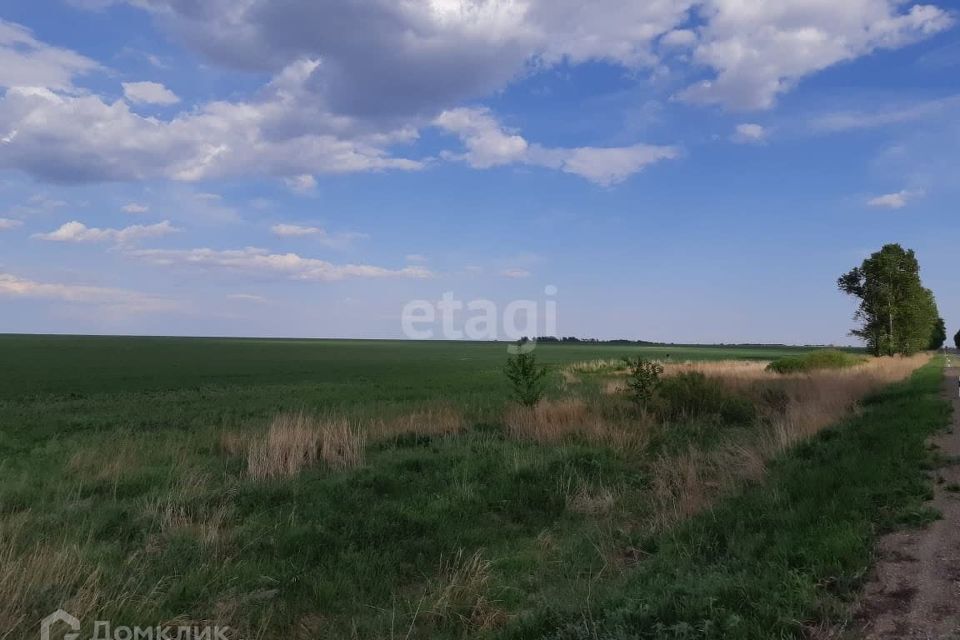 земля г Благовещенск СТ Учитель, Благовещенск городской округ фото 5