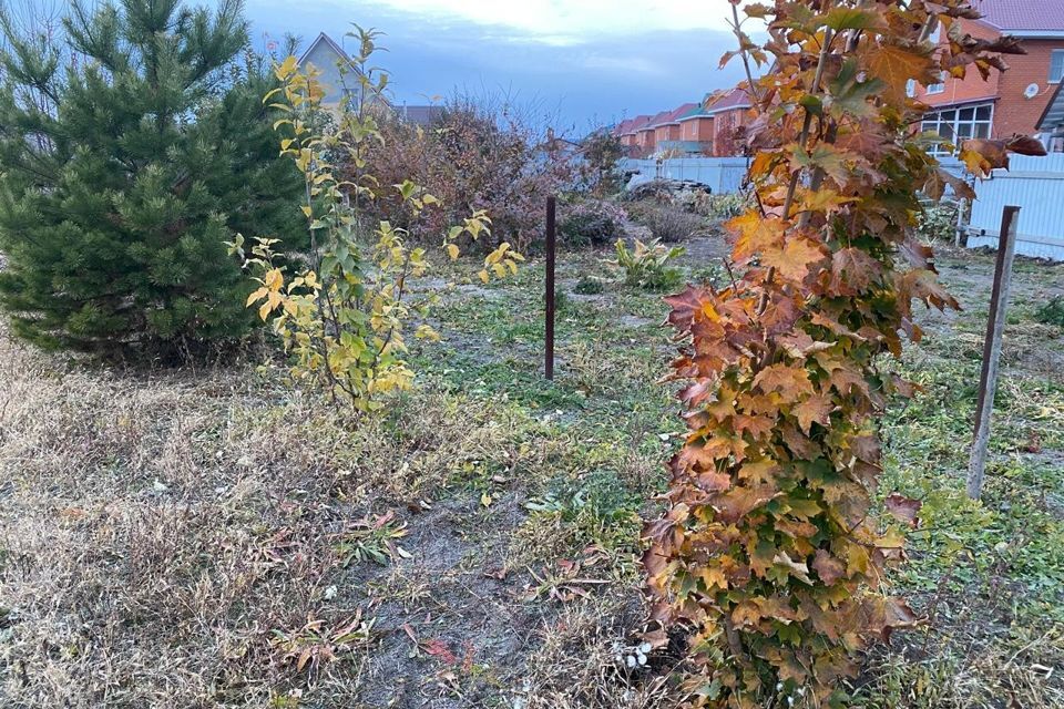 земля г Барнаул п Центральный городской округ Барнаул, Сибирь фото 3