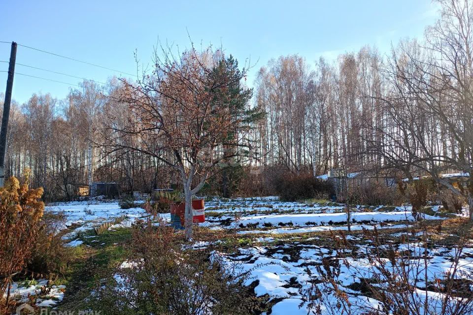 земля Миасский городской округ, СНТ Урал Дача-2 фото 5