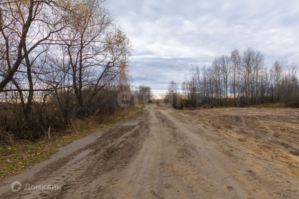 земля р-н Тюменский Борки фото 10