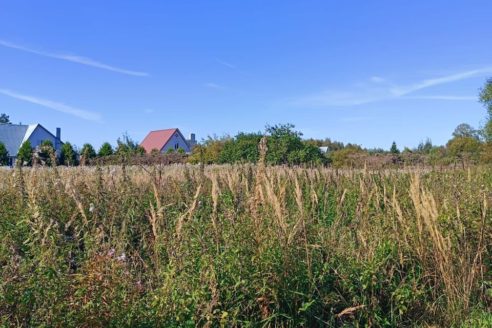 земля р-н Конаковский Городня фото 5