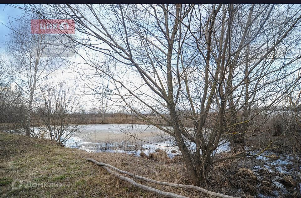 дом р-н Рязанский с Заборье ул Березовая 42 фото 7