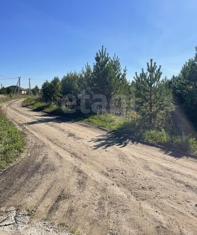 тер дачное некоммерческое товарищество Березка Подушкино, село Каменка фото