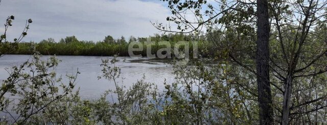 земля с Борки фото