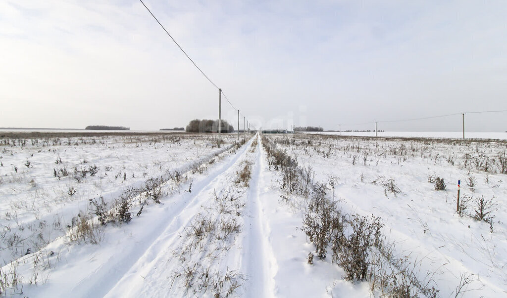 земля г Тюмень урочище Ивановщина фото 4