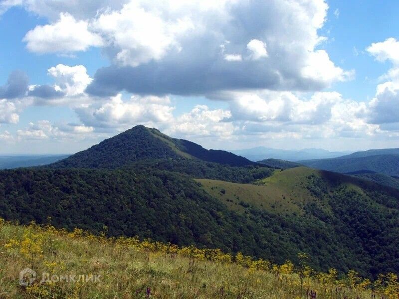 дом р-н Абинский ст-ца Шапсугская ул Красная 8 фото 5