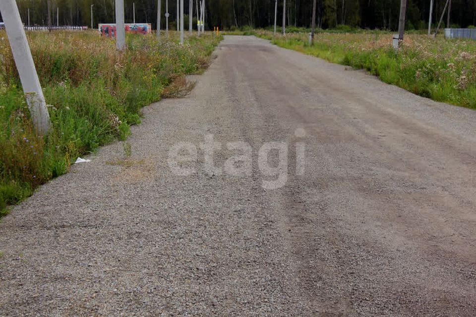 земля р-н Сосновский Кайгородово фото 6