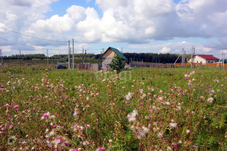 земля р-н Сосновский Кайгородово фото 7