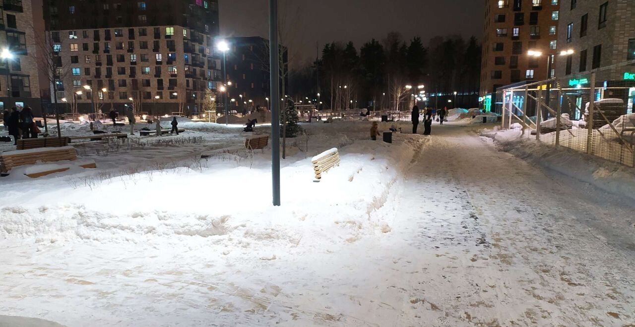 квартира г Санкт-Петербург метро Проспект Просвещения ш Суздальское 30к/2 Орловский парк округ Коломяги фото 10