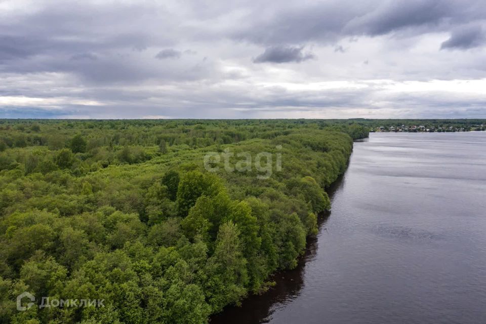 земля р-н Шекснинский фото 6