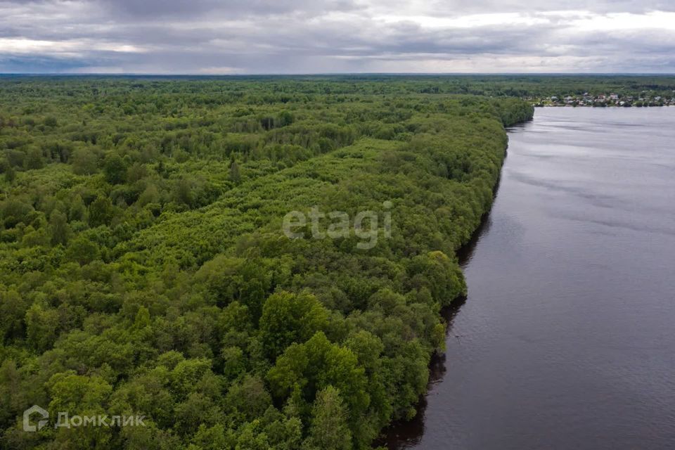 земля р-н Шекснинский фото 7