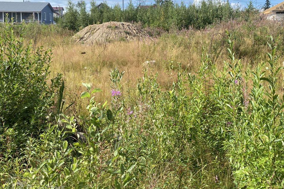 земля г Петрозаводск Кукковка проезд Лахденпохский 41 Петрозаводский городской округ фото 5