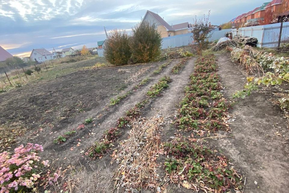 земля г Барнаул п Центральный городской округ Барнаул, Сибирь фото 6