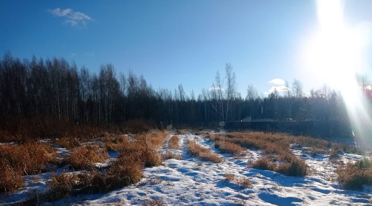 земля р-н Тюменский снт Янтарное проезд Лунный ДНТ фото 2